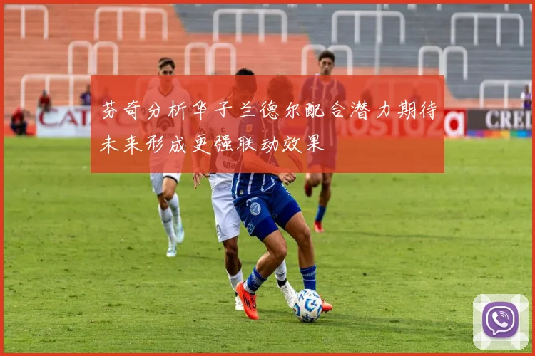 芬奇分析华子兰德尔配合潜力期待未来形成更强联动效果